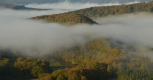 mostro delle ardenne